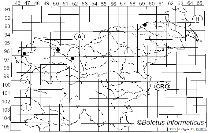 <i>Dictydiaethalium</i> Rostaf. (1873)