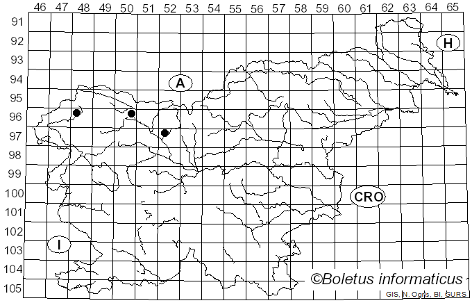 <i>Arthonia</i> Ach. (1806)