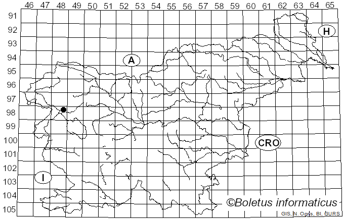 <i>Inocybe cryptocystis</i> D.E. Stuntz (1954)