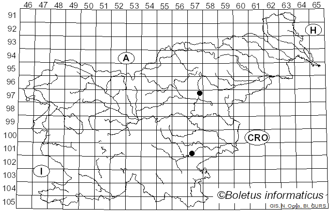 <i>Inermisia</i> Rifai (1968)