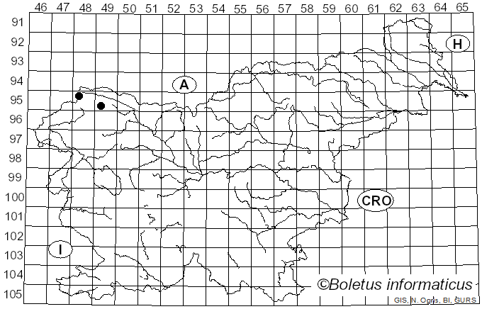 <i>Isothea rhytismoides</i> (Bab. ex Berk.) Fr. (1849)