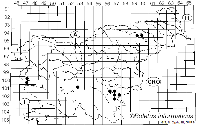<i>Inocybe pusio</i> P. Karst. (1889)