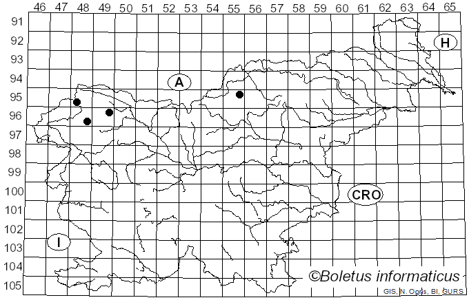 <i>Cetraria sepincola</i> (Ehrh.) Ach. (1803)