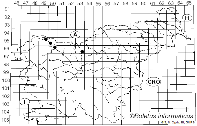 <i>Monacrosporium</i> Oudem. (1885)