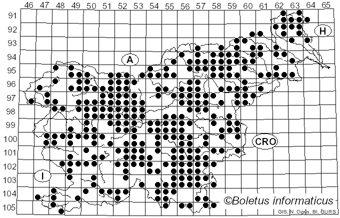 <i>Fomes</i> (Fr.) Fr. (1849)