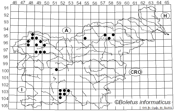 <i>Usnea florida</i> (L.) Weber ex F.H. Wigg. (1780)
