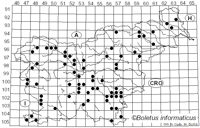 <i>Hohenbuehelia</i> Schulzer (1866)