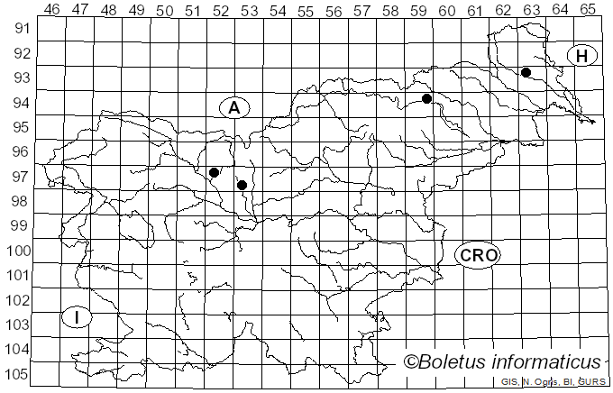 <i>Cortinarius collinitoparvus</i> Rob. Henry (1963)