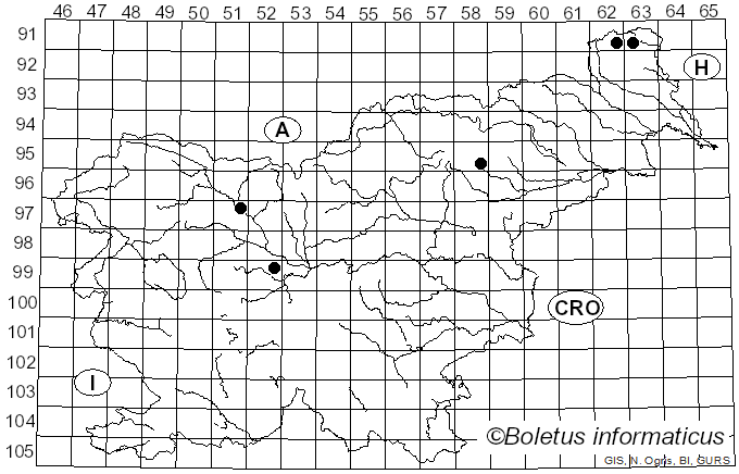 <i>Cudoniella tenuispora</i> (Cooke & Massee) Dennis (1974)