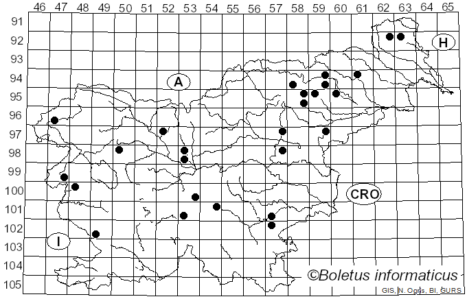<i>Tricholoma luridum</i> (Schaeff.) P. Kumm. (1871)