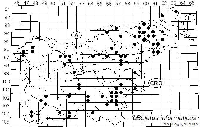 <i>Clitocybe phaeophthalma</i> (Pers.) Kuyper (1981)