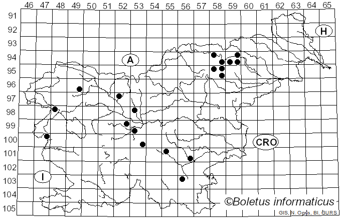 <i>Cortinarius gentilis</i> (Fr.) Fr. (1838)
