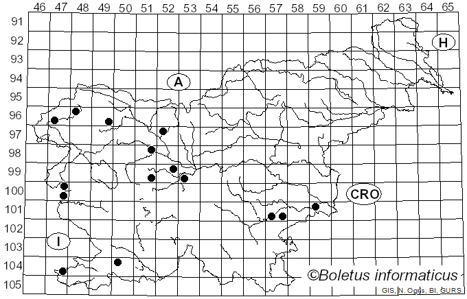<i>Melanoleuca polioleuca</i> (Fr.) G. Moreno (1934)