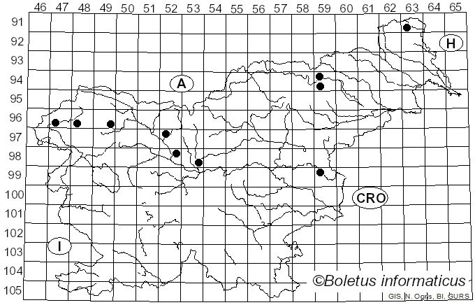 <i>Atheniella</i> Redhead, Moncalvo, Vilgalys, Desjardin & B.A. Perry (2012)