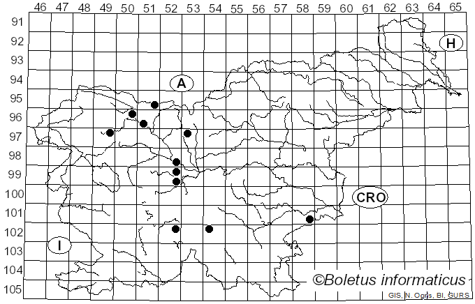 <i>Uromyces genistae</i> Fuckel (1870)