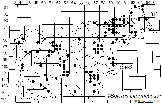 <i>Lepiota ignivolvata</i> Bousset & Joss. ex Joss. (1948)