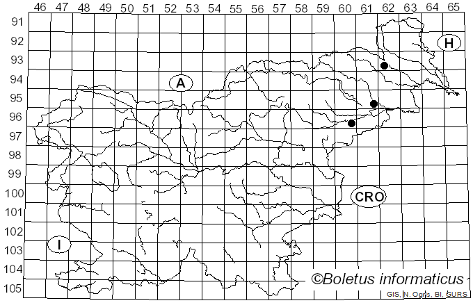 <i>Gracilistilbella clavulata</i> (Mont.) Seifert (2000)