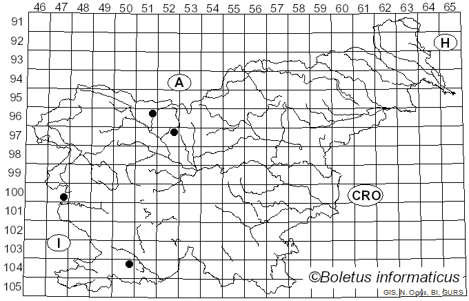 <i>Stictis radiata</i> (L.) Pers. (1800)
