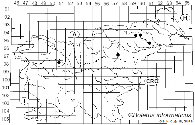 <i>Russula consobrina</i> (Fr.) Fr.