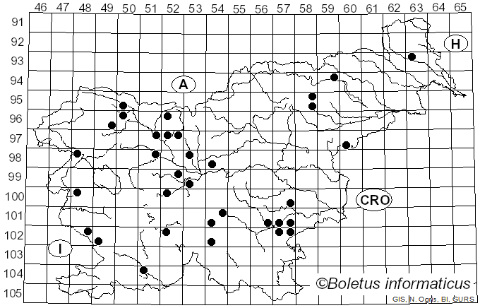 <i>Otidea leporina</i> (Batsch) Fuckel (1870)