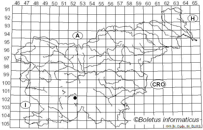 <i>Valsa flavovirescens</i> Nitschke