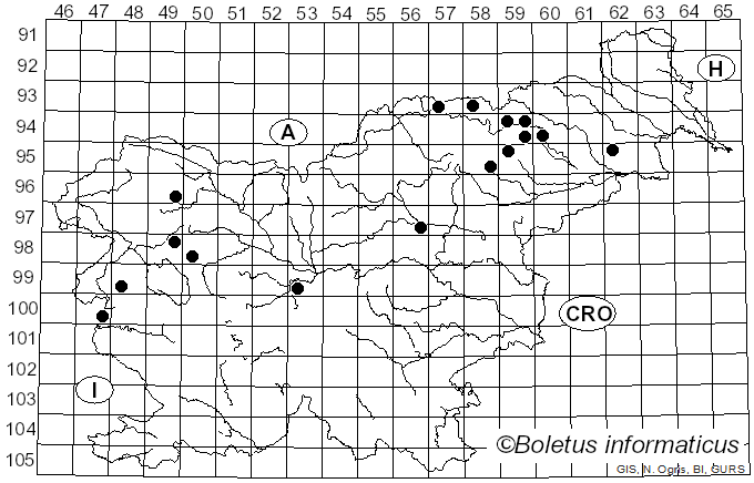 <i>Inocybe assimilata</i> Britzelm. (1881)