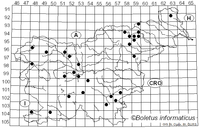 <i>Skeletocutis amorpha</i> (Fr.) Kotl. & Pouzar (1958)