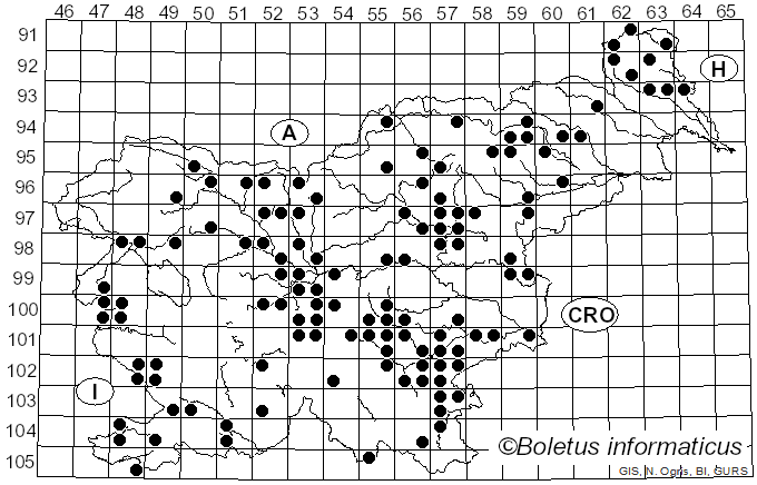 <i>Entoloma sinuatum</i> (Bull.) P. Kumm. (1871)