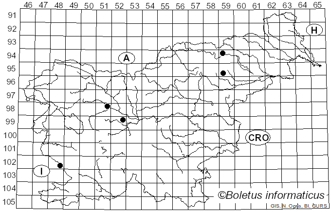 <i>Lepiota parvannulata</i> (Lasch) Gillet (1874)