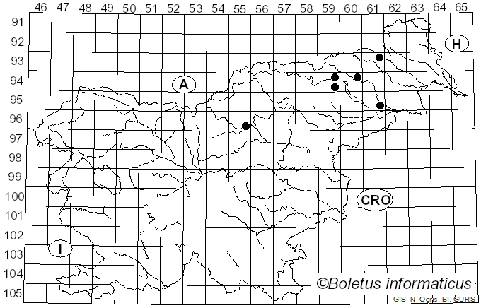 <i>Phellinus populicola</i> Niemelä (1975)