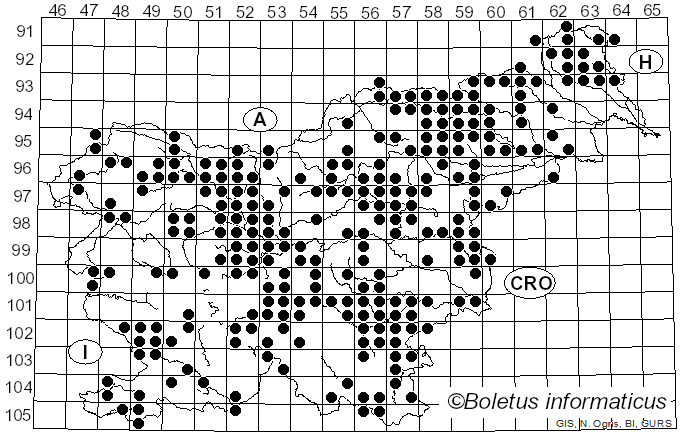 <i>Craterellus</i> Pers. (1825)