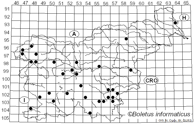 <i>Lactarius rubrocinctus</i> Fr. (1863)