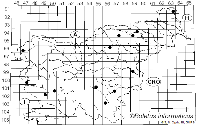 <i>Mycena filopes</i> (Bull.) P. Kumm. (1871)