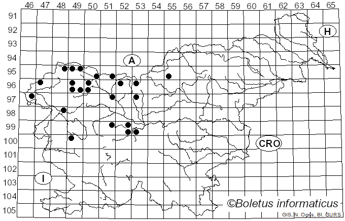 <i>Exobasidium</i> Woronin (1867)