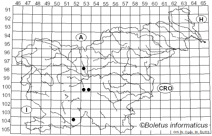 <i>Lycogala confusum</i> Nann.-Bremek. ex Ing (1999)