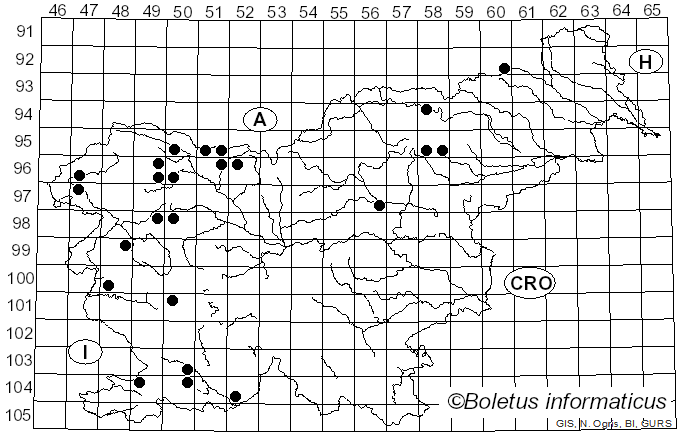 <i>Protostropharia</i> Redhead, Moncalvo & Vilgalys (2013)