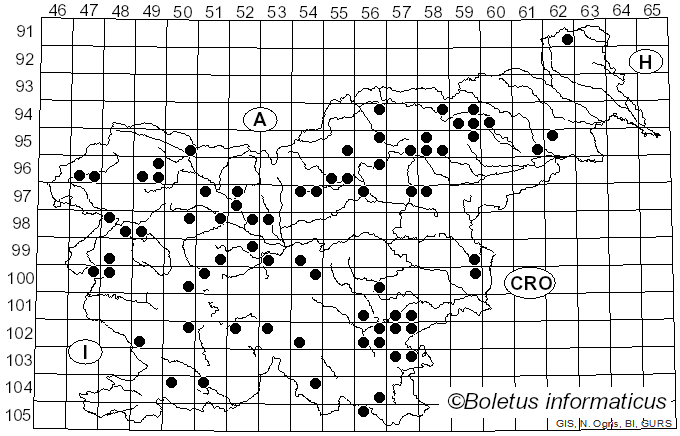 <i>Laccaria bicolor</i> (Maire) P.D. Orton (1960)