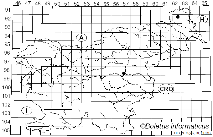 <i>Cystodermella cinnabarina</i> (Alb. & Schwein.) Harmaja (2002)