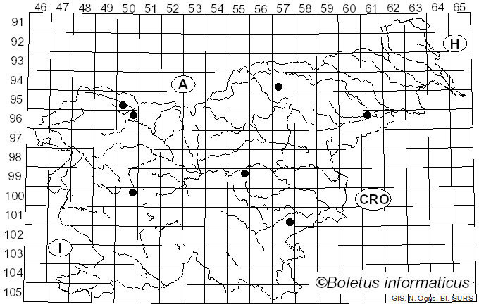 <i>Botryosphaeria visci</i> (Kalchbr.) Arx & E. Müll. (1954)