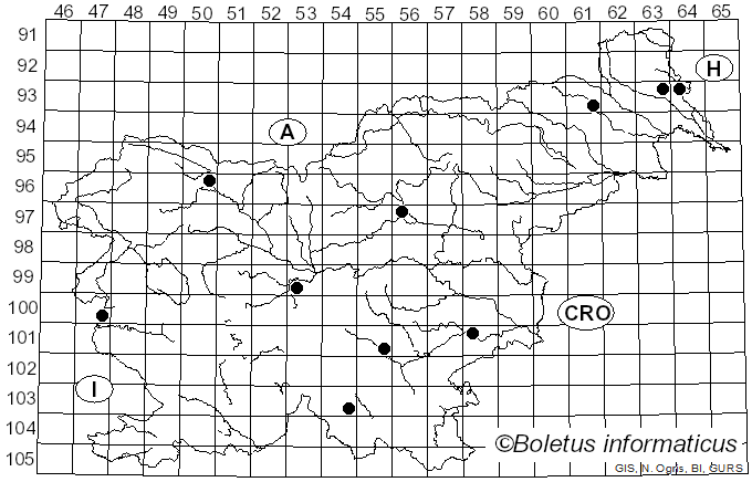 <i>Aleurodiscus disciformis</i> (DC.) Pat. (1894)