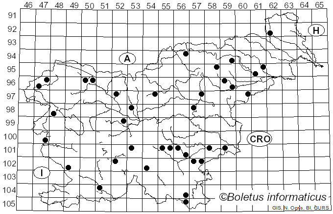 <i>Phaeotremella foliacea</i> (Pers.) Wedin, J.C. Zamora & Millanes (2016)