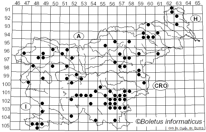 <i>Lactarius acris</i> (Bolton) Gray (1821)