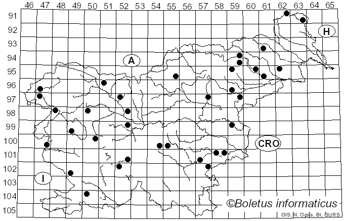 <i>Jackrogersella multiformis</i> (Fr.) L. Wendt, Kuhnert & M. Stadler (2017)