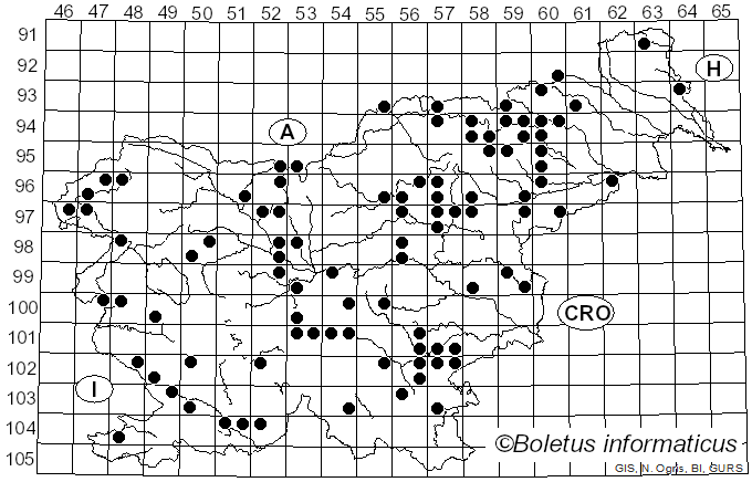 <i>Geastrum triplex</i> Jungh. (1840)