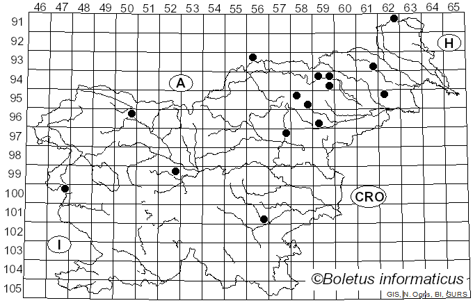 <i>Sarcodontia spumea</i> (Sowerby) Spirin (2001)