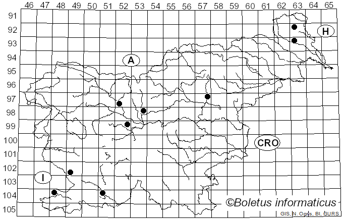 <i>Pholiota gummosa</i> var. <i>rufobrunnea</i> (P. Karst.) Holec (2001)