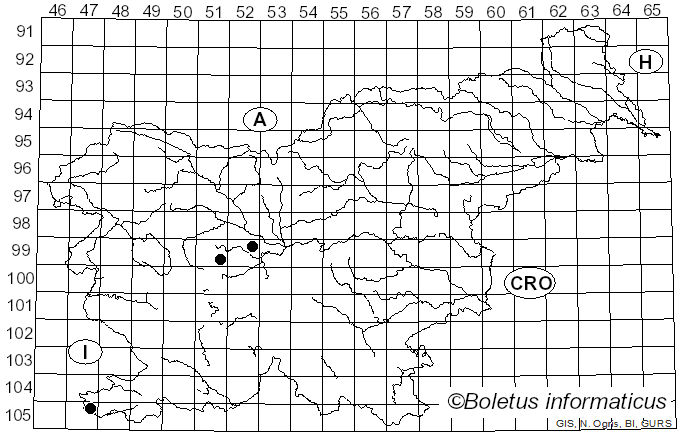 <i>Paraphaeosphaeria</i> O.E. Erikss. (1967)