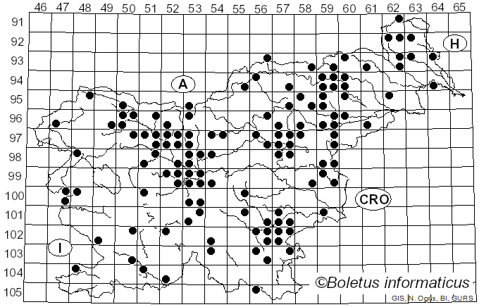 <i>Coprinopsis atramentaria</i> (Bull.) Redhead, Vilgalys & Moncalvo (2001)