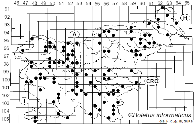 <i>Ceratiomyxa</i> J. Schröt. (1889)