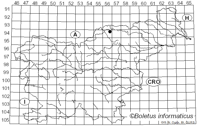 <i>Cytosporina juglandicola</i> (Sacc.) Sacc. (1884)